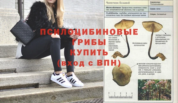 метадон Нефтекумск