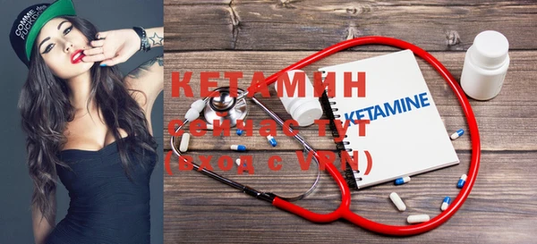 шишки Аша