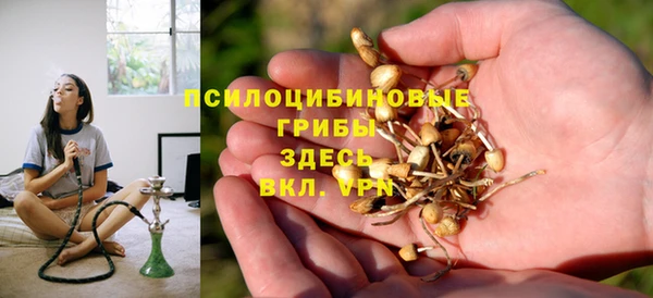 сатива Ахтубинск