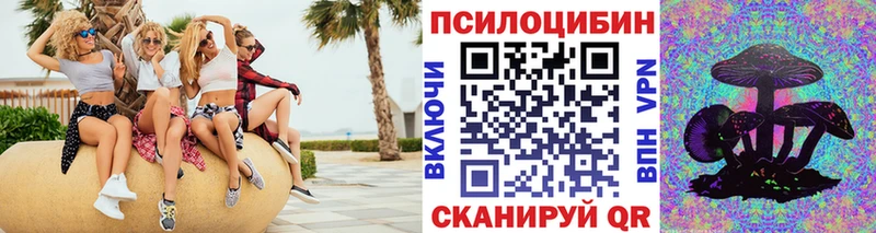 Галлюциногенные грибы ЛСД  магазин продажи   Пошехонье 